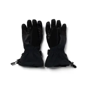 Children's ski gloves Spyder Overweb image-1