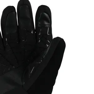 Ski gloves Spyder Overweb image-2