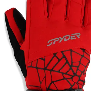 Ski gloves Spyder Overweb image-2