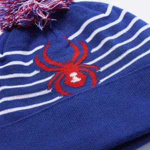 Chapéu de criança Spyder Icebox image-2