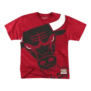 Camiseta Chicago Bulls big face bulls image-0