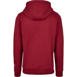 Hooded sweatshirt Urban Classics starter small logo image-1