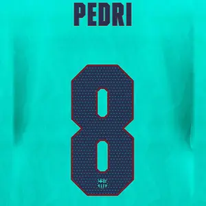 Flockung drittes FC Barcelona Ligue des Champions PEDRI #8 2026/27