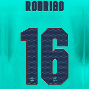 FC Barcelona third kit printing Ligue des Champions RODRIGO #16 2026/27 image-0