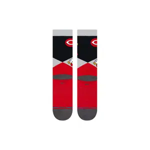 Chaussettes Boston Red Sox Mascot image-2