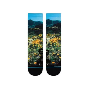 Chaussettes Stance Poppy Trails image-0