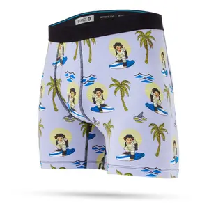 Boxer Stance Monkey Surfs image-0