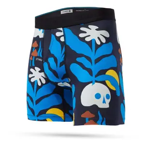 Boxer Stance Wake Up image-0