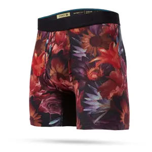 Boxer Stance Franklyn image-0