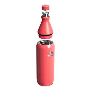 Trinkflasche Stanley The All Day image-2