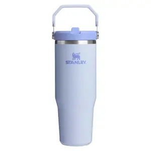 Water Bottle Stanley The IceFlow Flip Straw 2.0