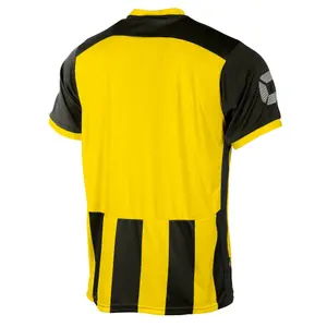 Trikot Stanno Brighton L.S. image-4