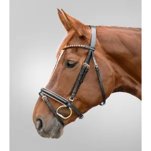 Lózabla a lovak számára Star Or Rose image-1