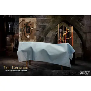 Estatueta Horrors of Frankenstein Star Ace The Creature Deluxe Version image-1
