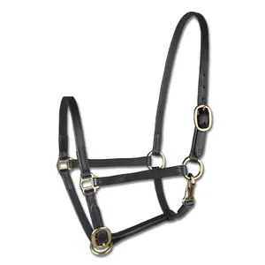 Präsentationshalfter für Mini-Shetland aus Leder Star image-0