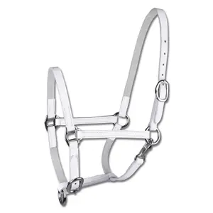 Leather foal show halter Star image-0