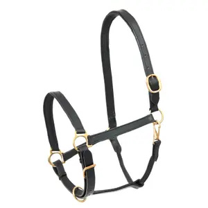 Leather halter for pony Star Robust
