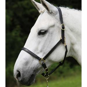 Leather halter for pony Star Robust image-1