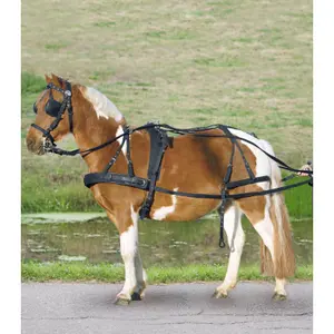 901010-sh-vollstandiges-zuggeschirr-fur-ponys-und-shetlandponys-star-schwarz-pony-shetland