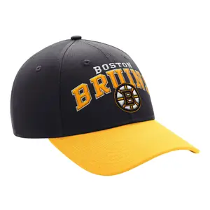 Boston Bruins snapback cap Starter NHL