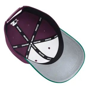 Ducks snapback cap Starter NHL image-1