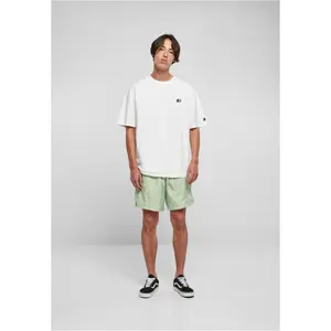 Beach shorts Starter image-0