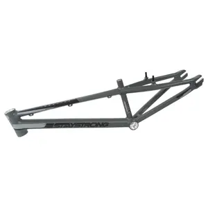 Cuadro de bmx Stay Strong For Life V3 - Expert image-0
