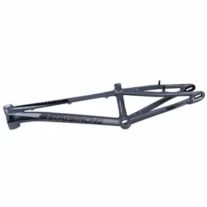Cuadro de bicicleta Stay Strong For Life V3 - Pro XXXL image-0