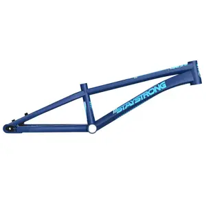 Cuadro de bmx Stay Strong For Life V4 image-0
