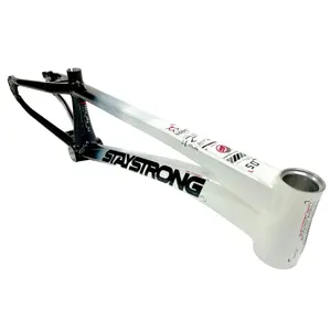 Frame Stay Strong For Life V5 2024 image-0
