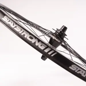 Pair of disc wheels Stay Strong Race image-5