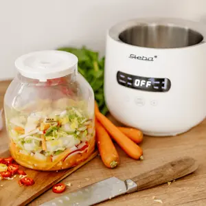 Yaourtière Steba JM 4 Ferment image-4