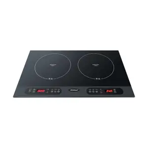 Appareil de cuisson double induction Steba
