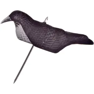Callers crow magnum floque shell Stepland (x24)