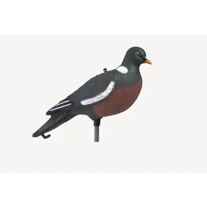 Appelants Pigeon Ramier HD Stepland image-0