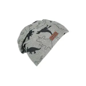 Μπέιμπι καπέλο για αγόρι Sterntaler Dinosaur image-0