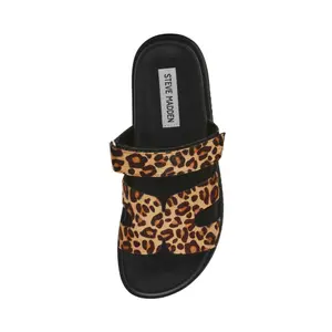 Vrouwenslippers Steve Madden Missile-LC image-5