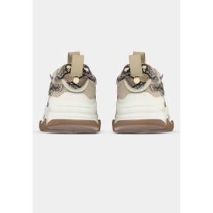 Sneakers Steve Madden Possession-E image-3