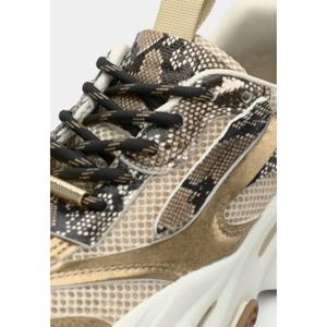 Sneakers Steve Madden Possession-E image-6
