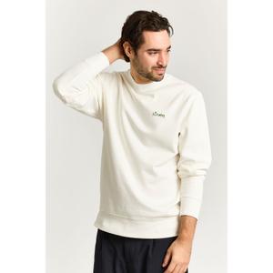 Sweatshirt Strom Cat In Carton image-3