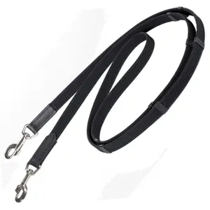 Fästen med sölja, Island och karbinhake Stübben image-1