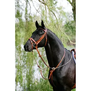 Martingale pour cheval à anneaux Stübben image-0