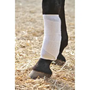 Cryotherapy cushion for horses Stübben image-0