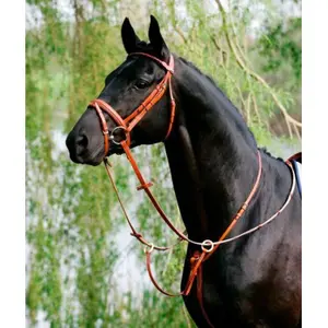 Martingale pour cheval à anneaux Stübben image-0