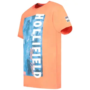 T-shirt Hollifield Iledaix Ho image-1