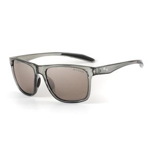 Sunglasses Sundog Frankie TB