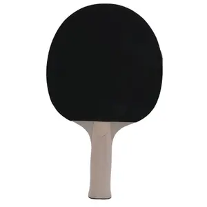 ρακέτα πινγκ πονγκ sunflex Color Comp B25 image-2