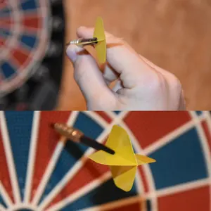 Dart sunflex Blast image-1