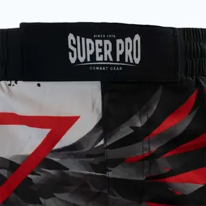MMA-Shorts Super Pro Raven image-2