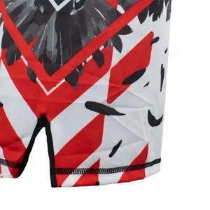 MMA-Shorts Super Pro Raven image-3